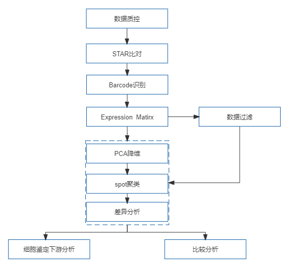 32、10x Visium 空间转录组测序.png