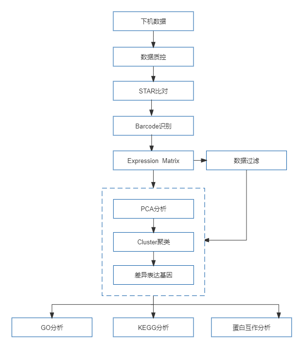 37、10x Genomics单细胞蛋白质组测序.png