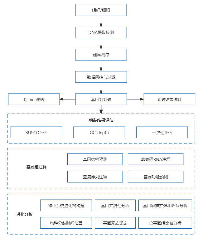 4、动植物基因组de novo.png