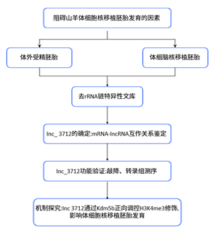 lncRNA案例分析流程图.png