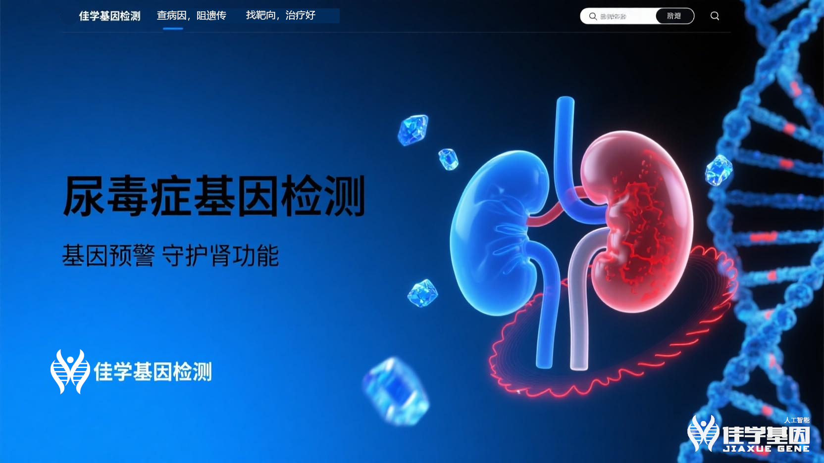 【yl6809永利基因检测】<font color='red'><font color='red'>尿毒症</font></font>基因检测寻找治疗靶点