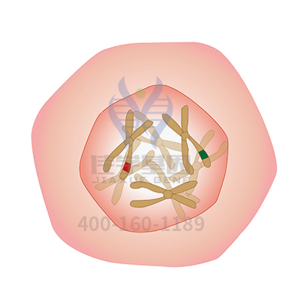 【yl6809永利基因解码-基因检测】一种类肿瘤的肺部疾病——<font color='red'><font color='red'>特发</font><font color='red'>性肺</font><font color='red'>纤维</font>化</font>