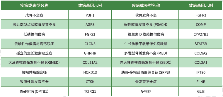 【yl6809永利基因检测】<font color='red'><font color='red'>骨骼</font><font color='red'>系统</font><font color='red'>疾病</font></font>致病基因鉴定基因解码